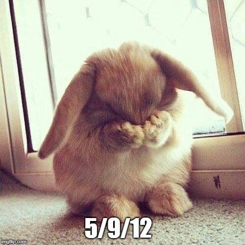 Shy rabbit | 5/9/12 | image tagged in shy rabbit | made w/ Imgflip meme maker
