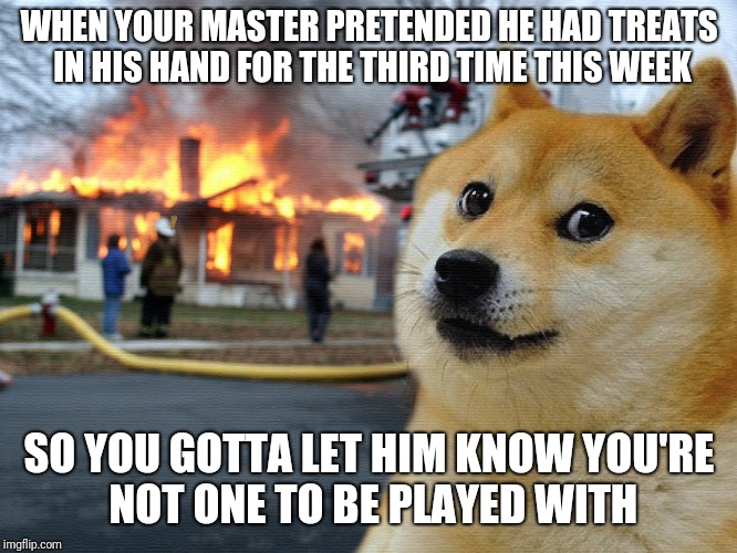 Mixtape doge | WHEN YOUR MASTER PRETENDED HE HAD TREATS IN HIS HAND FOR THE THIRD TIME THIS WEEK; SO YOU GOTTA LET HIM KNOW YOU'RE NOT ONE TO BE PLAYED WITH | image tagged in mixtape doge | made w/ Imgflip meme maker
