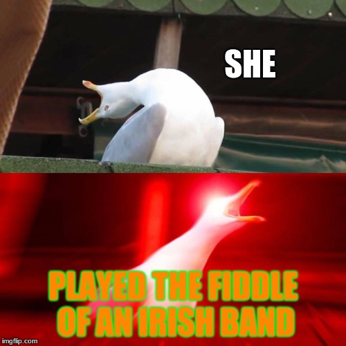 inhaling bird meme | SHE; PLAYED THE FIDDLE OF AN IRISH BAND | image tagged in inhaling bird meme | made w/ Imgflip meme maker