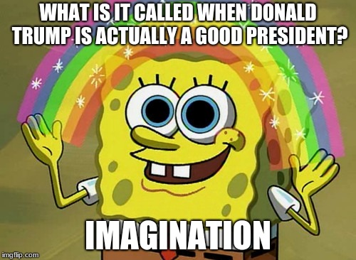 Imagination Spongebob Meme | WHAT IS IT CALLED WHEN DONALD TRUMP IS ACTUALLY A GOOD PRESIDENT? IMAGINATION | image tagged in memes,imagination spongebob | made w/ Imgflip meme maker