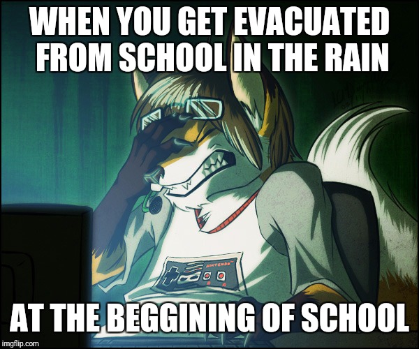 Furry facepalm | WHEN YOU GET EVACUATED FROM SCHOOL IN THE RAIN; AT THE BEGGINING OF SCHOOL | image tagged in furry facepalm | made w/ Imgflip meme maker
