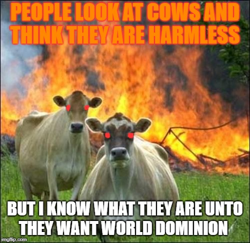 Evil Cows Meme | PEOPLE LOOK AT COWS AND THINK THEY ARE HARMLESS; BUT I KNOW WHAT THEY ARE UNTO THEY WANT WORLD DOMINION | image tagged in memes,evil cows | made w/ Imgflip meme maker