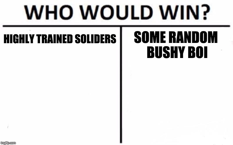 Who Would Win? Meme | HIGHLY TRAINED
SOLIDERS; SOME RANDOM BUSHY BOI | image tagged in memes,who would win | made w/ Imgflip meme maker