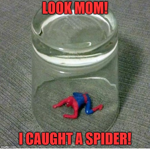 Caught Spider Man | LOOK MOM! I CAUGHT A SPIDER! | image tagged in memes | made w/ Imgflip meme maker