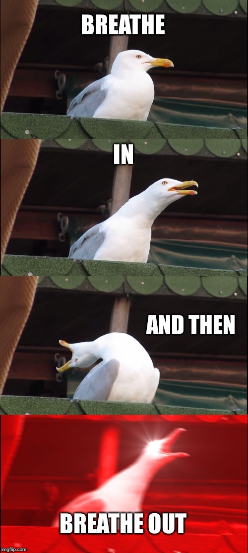 Seagulls | BREATHE; IN; AND THEN; BREATHE OUT | image tagged in memes,inhaling seagull,funny memes | made w/ Imgflip meme maker