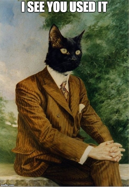 cat in a suit | I SEE YOU USED IT | image tagged in cat in a suit | made w/ Imgflip meme maker