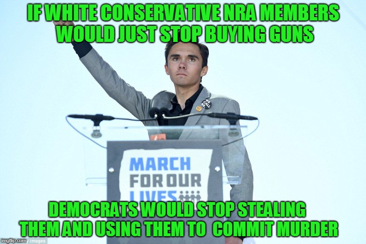 David Hogg Logic | IF WHITE CONSERVATIVE NRA MEMBERS WOULD JUST STOP BUYING GUNS; DEMOCRATS WOULD STOP STEALING THEM AND USING THEM TO  COMMIT MURDER | image tagged in heil david hogg,nra,college liberal,donald trump | made w/ Imgflip meme maker