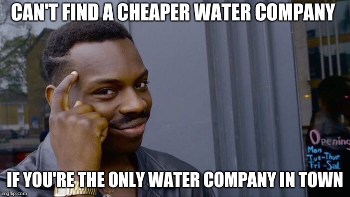 Roll Safe Think About It | CAN'T FIND A CHEAPER WATER COMPANY; IF YOU'RE THE ONLY WATER COMPANY IN TOWN | image tagged in memes,roll safe think about it | made w/ Imgflip meme maker