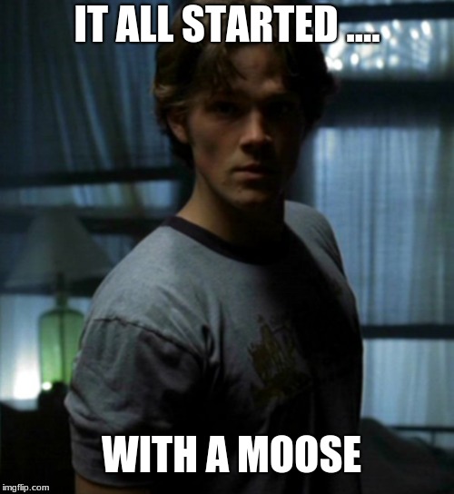 Sam winchester | IT ALL STARTED .... WITH A MOOSE | image tagged in jared padalecki | made w/ Imgflip meme maker