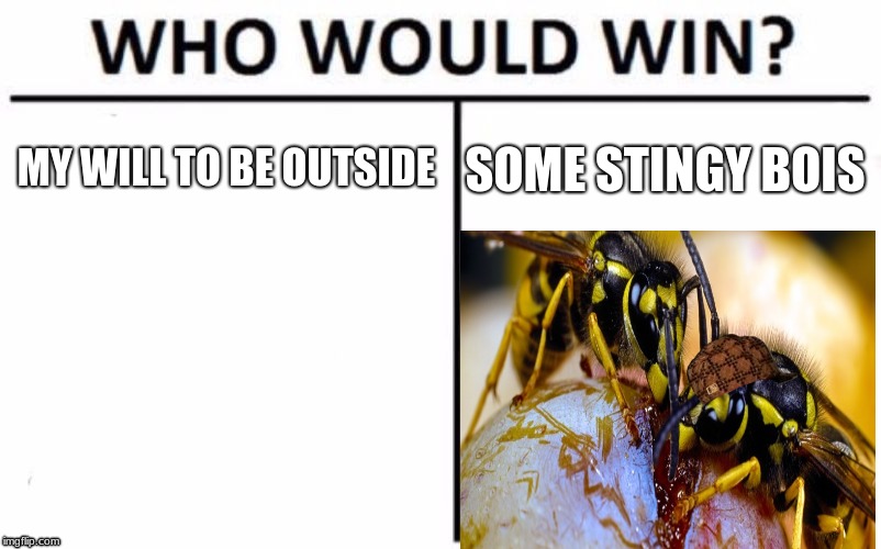 Wasps suck so bad. | MY WILL TO BE OUTSIDE; SOME STINGY BOIS | image tagged in memes,who would win,scumbag,bugs,wasp | made w/ Imgflip meme maker