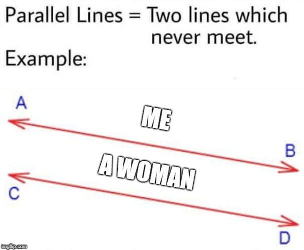 Because women never look beyond the acne. | ME; A WOMAN | image tagged in parallel lines | made w/ Imgflip meme maker