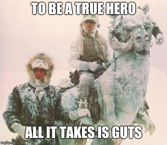 star wars | TO BE A TRUE HERO; ALL IT TAKES IS GUTS | image tagged in star wars | made w/ Imgflip meme maker