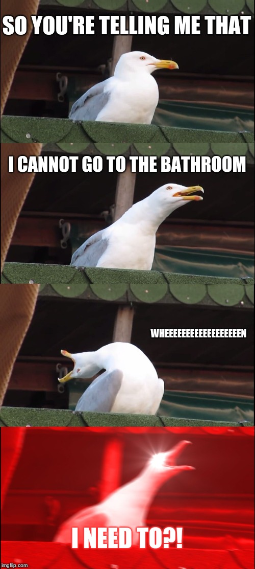Inhaling Seagull | SO YOU'RE TELLING ME THAT; I CANNOT GO TO THE BATHROOM; WHEEEEEEEEEEEEEEEEEEN; I NEED TO?! | image tagged in memes,inhaling seagull | made w/ Imgflip meme maker