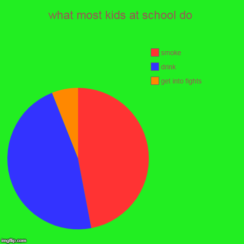 what most kids at school do | get into fights, drink, smoke | image tagged in funny,pie charts | made w/ Imgflip chart maker