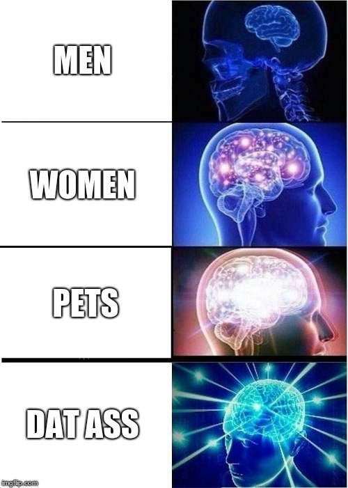 Expanding Brain Meme | MEN; WOMEN; PETS; DAT ASS | image tagged in memes,expanding brain | made w/ Imgflip meme maker