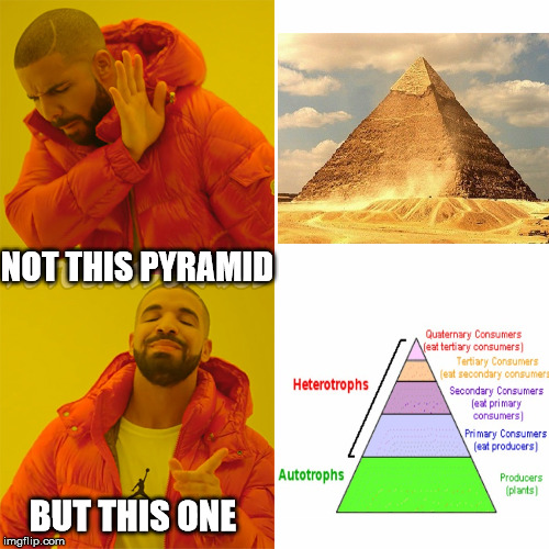 Drake Hotline Bling Meme | NOT THIS PYRAMID; BUT THIS ONE | image tagged in drake | made w/ Imgflip meme maker