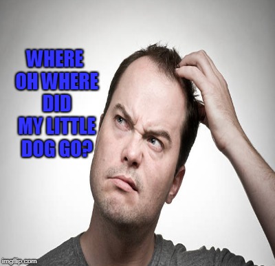 WHERE OH WHERE DID MY LITTLE DOG GO? | made w/ Imgflip meme maker