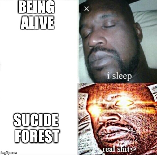 Sleeping Shaq Meme | BEING ALIVE; SUCIDE FOREST | image tagged in memes,sleeping shaq | made w/ Imgflip meme maker