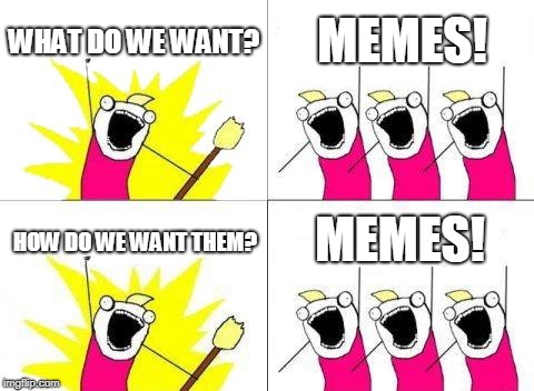 What Do We Want Meme | WHAT DO WE WANT? MEMES! MEMES! HOW DO WE WANT THEM? | image tagged in memes,what do we want | made w/ Imgflip meme maker