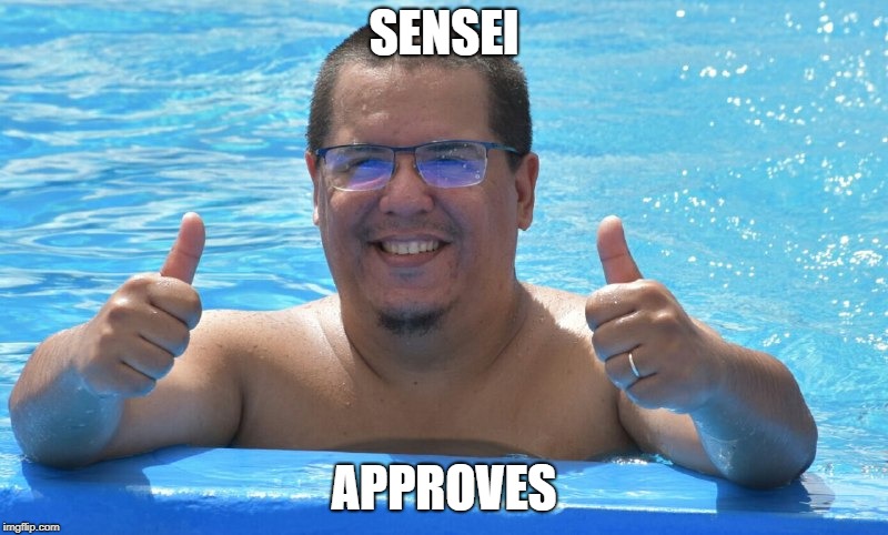  SENSEI; APPROVES | image tagged in approved | made w/ Imgflip meme maker
