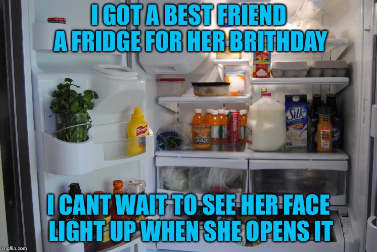 Friending Fridge | I GOT A BEST FRIEND A FRIDGE FOR HER BRITHDAY; I CANT WAIT TO SEE HER FACE LIGHT UP WHEN SHE OPENS IT | image tagged in meme,friending fridge | made w/ Imgflip meme maker