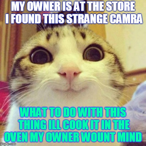 Smiling Cat Meme | MY OWNER IS AT THE STORE I FOUND THIS STRANGE CAMRA; WHAT TO DO WITH THIS THING ILL COOK IT IN THE OVEN MY OWNER WOUNT MIND | image tagged in memes,smiling cat | made w/ Imgflip meme maker