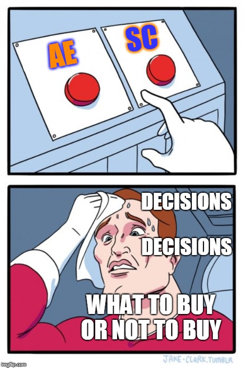 Two Buttons Meme | SC; AE; DECISIONS; DECISIONS; WHAT TO BUY OR NOT TO BUY | image tagged in memes,two buttons | made w/ Imgflip meme maker