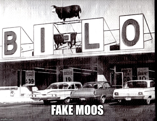A Mooving Meme | FAKE MOOS | image tagged in a mooving meme,cows,bi lo | made w/ Imgflip meme maker