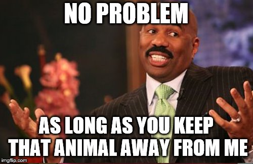 NO PROBLEM AS LONG AS YOU KEEP THAT ANIMAL AWAY FROM ME | made w/ Imgflip meme maker