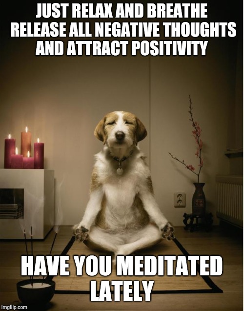 dog meditation funny | JUST RELAX AND BREATHE RELEASE ALL NEGATIVE THOUGHTS AND ATTRACT POSITIVITY; HAVE YOU MEDITATED LATELY | image tagged in dog meditation funny | made w/ Imgflip meme maker