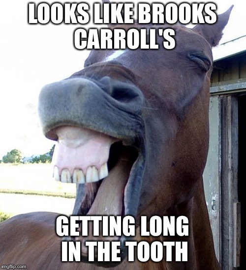 Funny Horse Face | LOOKS LIKE BROOKS CARROLL'S; GETTING LONG IN THE TOOTH | image tagged in funny horse face | made w/ Imgflip meme maker