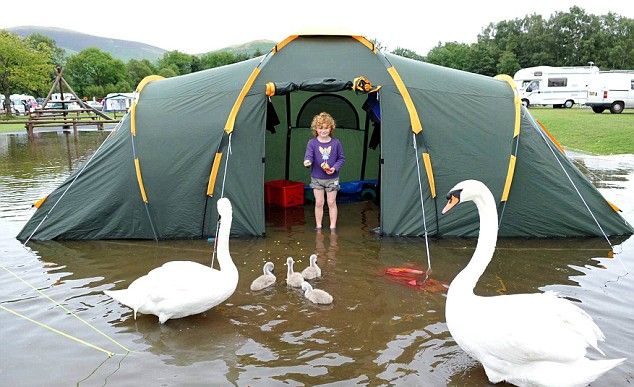 Camping flooding swans Blank Meme Template