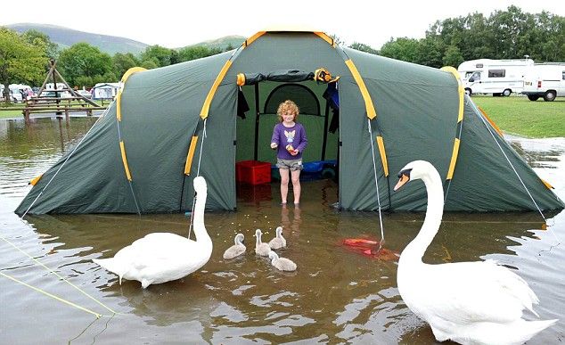 High Quality Camping flooding swans Blank Meme Template