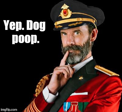 captain obvious | Yep.
Dog poop. | image tagged in captain obvious | made w/ Imgflip meme maker