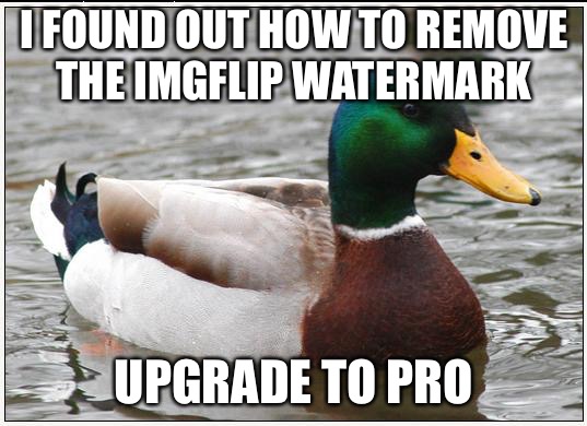 Actual Advice Mallard | I FOUND OUT HOW TO REMOVE THE IMGFLIP WATERMARK; UPGRADE TO PRO | image tagged in memes,actual advice mallard | made w/ Imgflip meme maker