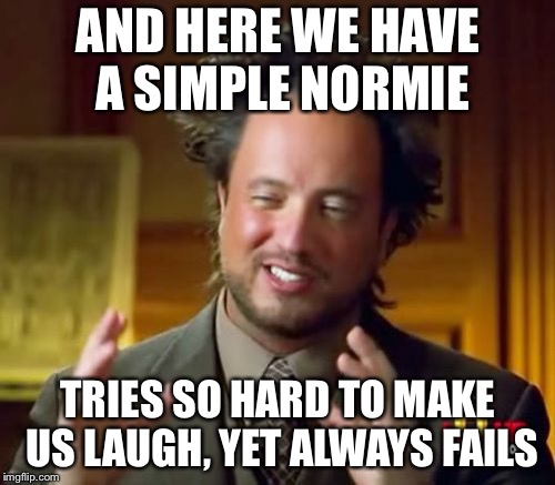 Ancient Aliens Meme | AND HERE WE HAVE A SIMPLE NORMIE TRIES SO HARD TO MAKE US LAUGH, YET ALWAYS FAILS | image tagged in memes,ancient aliens | made w/ Imgflip meme maker