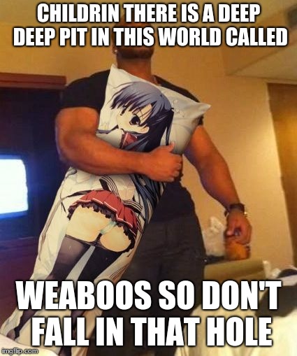 Hentai | CHILDRIN THERE IS A DEEP DEEP PIT IN THIS WORLD CALLED; WEABOOS SO DON'T FALL IN THAT HOLE | image tagged in hentai | made w/ Imgflip meme maker