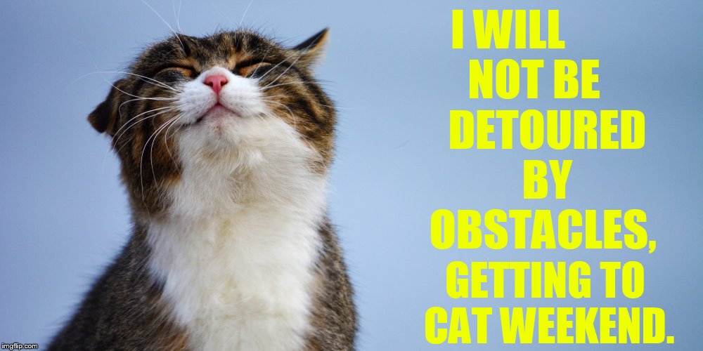 I WILL       NOT BE        DETOURED       BY      OBSTACLES, GETTING TO CAT WEEKEND. | made w/ Imgflip meme maker