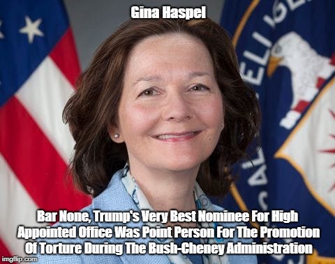 "It's A Sad Day When Trump's Best-Ever Appointee Served As Bush-Cheney's Foremost Torture Advocate" |  Gina Haspel; Bar None, Trump's Very Best Nominee For High Appointed Office Was Point Person For The Promotion Of Torture During The Bush-Cheney Administration | image tagged in gina haspel,torture | made w/ Imgflip meme maker