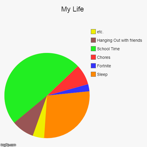 My Life | Sleep, Fortnite, Chores, School Time, Hanging Out with friends, etc. | image tagged in funny,pie charts | made w/ Imgflip chart maker