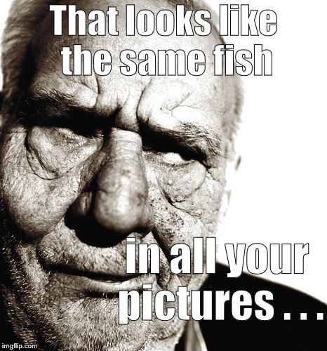 The skeptical old man looks intently at your vacation pictures then announces his suspicions. BUSTED, Dude! | That looks like the same fish; in all your pictures . . . | image tagged in skeptical old man,vacation pictures,bragging fishermen,don't let this happen to you,busted,douglie | made w/ Imgflip meme maker