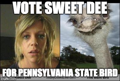 VOTE SWEET DEE; FOR PENNSYLVANIA STATE BIRD | made w/ Imgflip meme maker