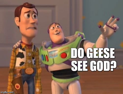 X, X Everywhere Meme | DO GEESE SEE GOD? | image tagged in memes,x x everywhere | made w/ Imgflip meme maker