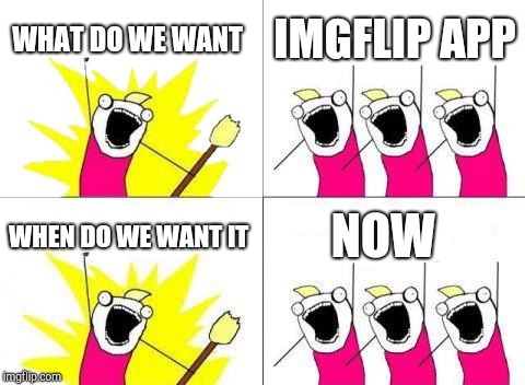 What Do We Want Meme | WHAT DO WE WANT; IMGFLIP APP; WHEN DO WE WANT IT; NOW | image tagged in memes,what do we want | made w/ Imgflip meme maker