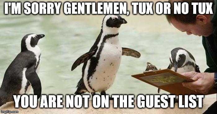 All dressed up, and no place to go | I'M SORRY GENTLEMEN, TUX OR NO TUX; YOU ARE NOT ON THE GUEST LIST | image tagged in memes,penguins | made w/ Imgflip meme maker