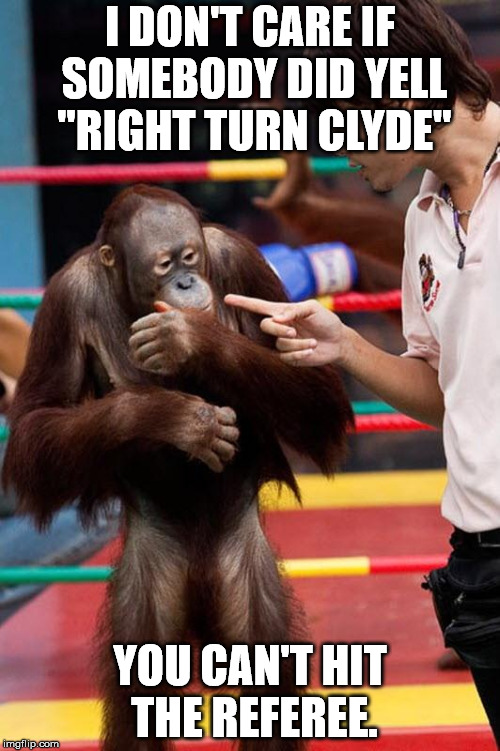 This is what happens when you change jobs. | I DON'T CARE IF SOMEBODY DID YELL "RIGHT TURN CLYDE"; YOU CAN'T HIT THE REFEREE. | image tagged in orangutan and ref | made w/ Imgflip meme maker