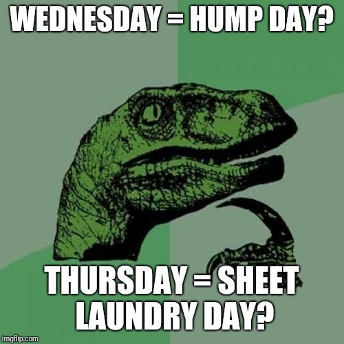 Philosoraptor Meme | WEDNESDAY = HUMP DAY? THURSDAY = SHEET LAUNDRY DAY? | image tagged in memes,philosoraptor | made w/ Imgflip meme maker