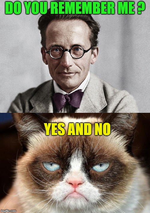 Erwin Schrödinger and his famous cat | DO YOU REMEMBER ME ? YES AND NO | image tagged in memes,funny,science,cat,dead,alive | made w/ Imgflip meme maker