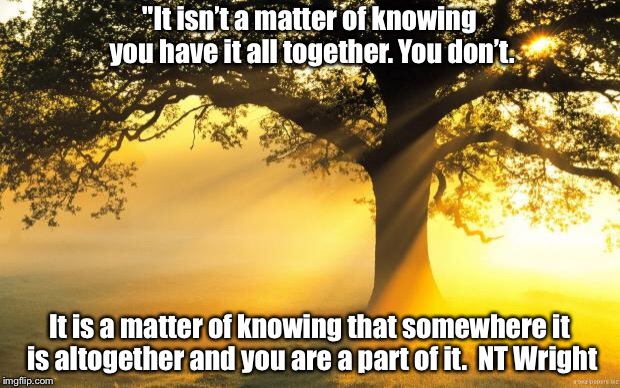 nature | "It isn’t a matter of knowing you have it all together. You don’t. It is a matter of knowing that somewhere it is altogether and you are a part of it. 
NT Wright | image tagged in nature | made w/ Imgflip meme maker