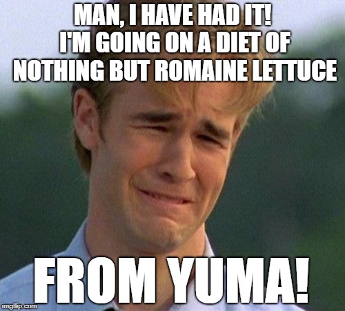 Would it kill you to eat a salad once in a while? | MAN, I HAVE HAD IT! I'M GOING ON A DIET OF NOTHING BUT ROMAINE LETTUCE; FROM YUMA! | image tagged in romaine lettuce,salad,suicide,contemplating suicide guy | made w/ Imgflip meme maker